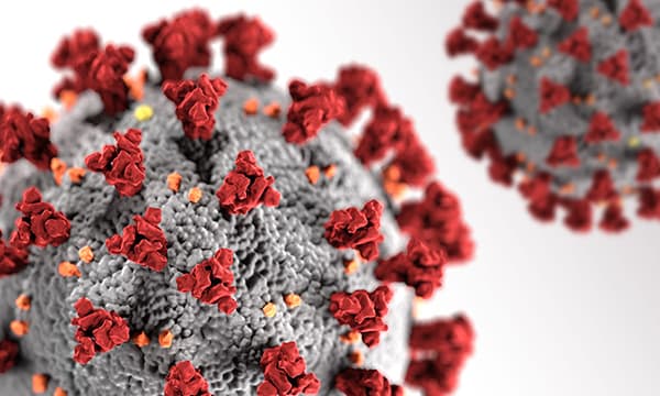 3-D image of a coronavirus 3-D image of a coronavirus